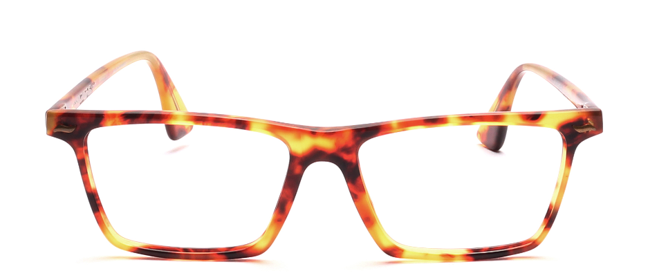 Traction Productions Mod. Bayou col. Tortue